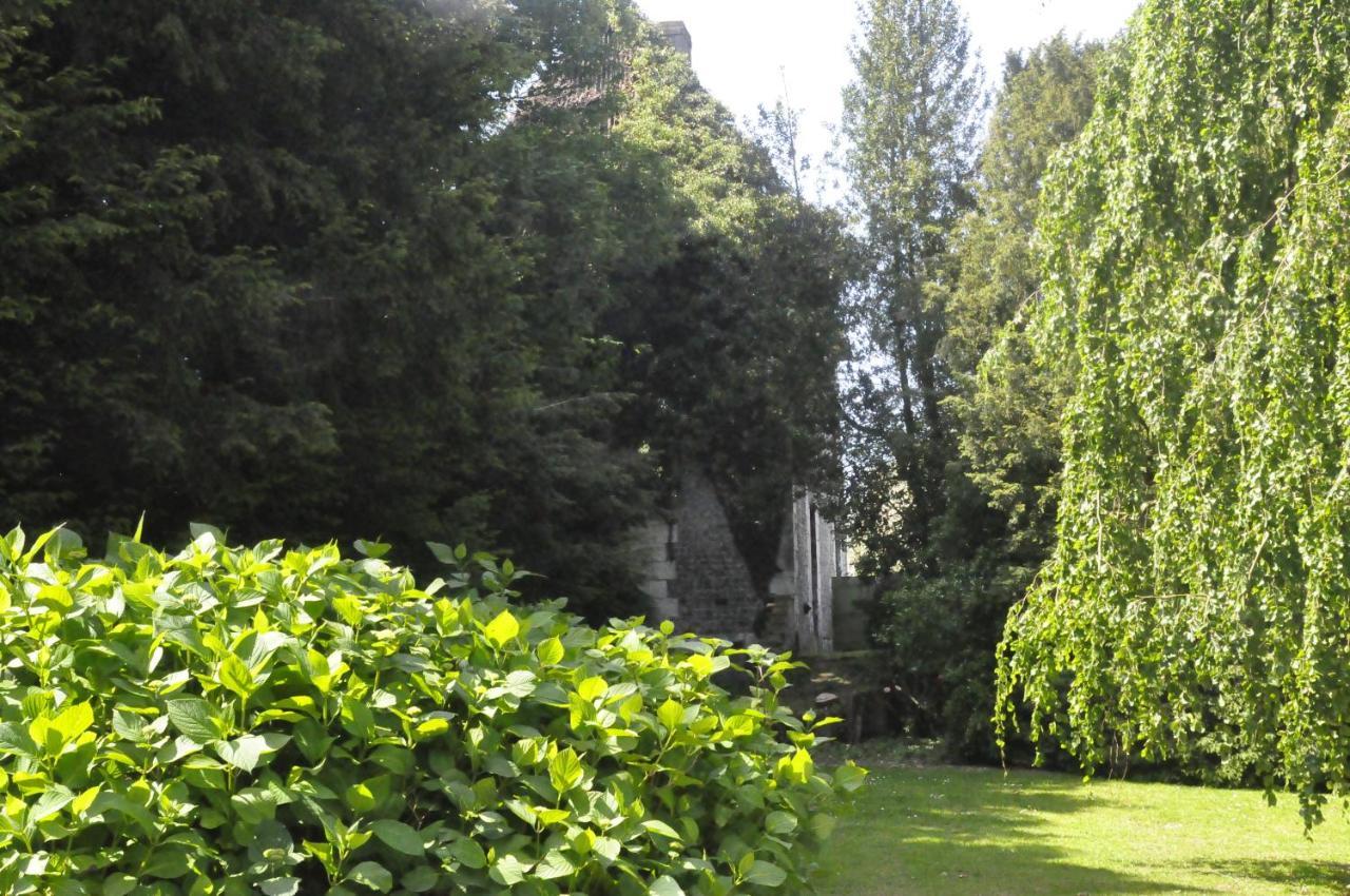 Chateau De St Sauveur D'Émalleville Exterior foto